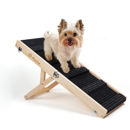 Ipetba rampa per cane - ipetba,