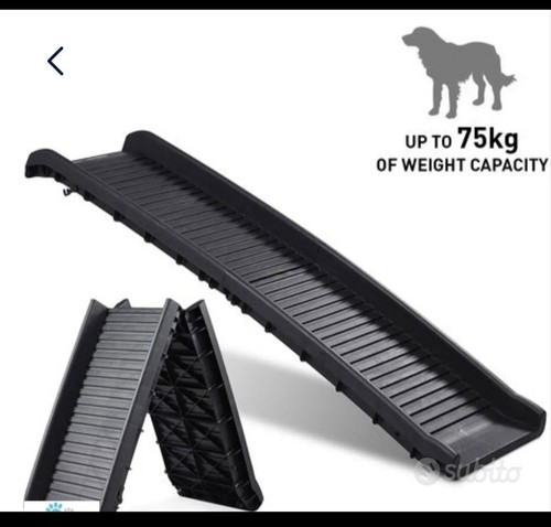 Rampa per cani - auto,