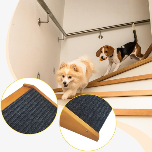 Rampa per cani - rampa, scale