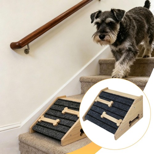 Rampa legno per cani - rampa,