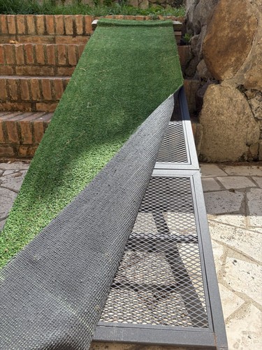 Rampa per cani