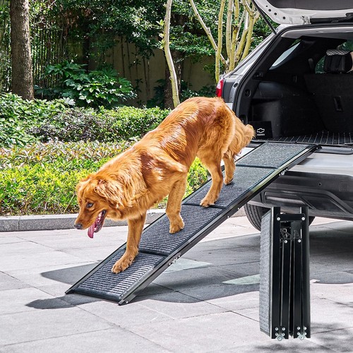 170 rampa per cani - rampa,