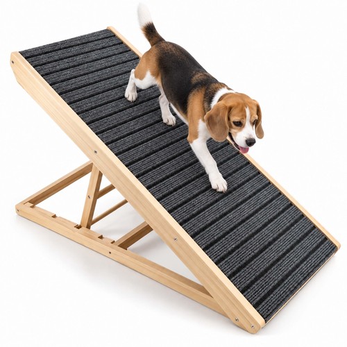 Rampa per cani - scaletta,