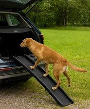 Rampa per cani auto pieghevole