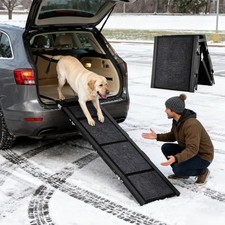 Rampa per Cani Auto 160 cm