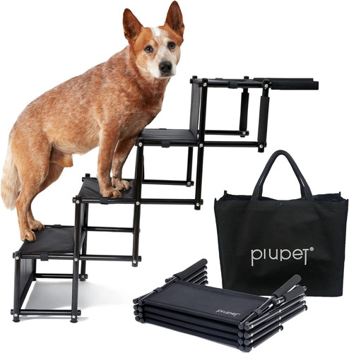 Rampa per cani - cani, a