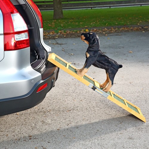 Rampa per cani - ,