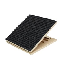 Rampa per cani compatta