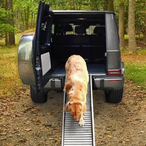 Rampa pieghevole per cani - rampa,