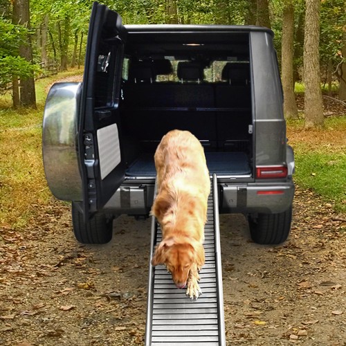 Auto pkw rampa per cani - per, aiuto