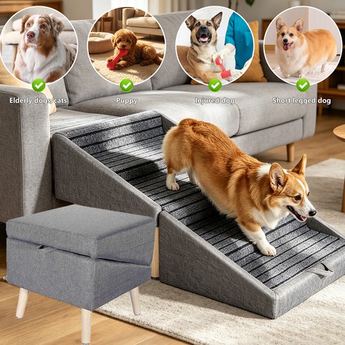 Rampa per cani 1 - in,